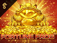 Fortune frog